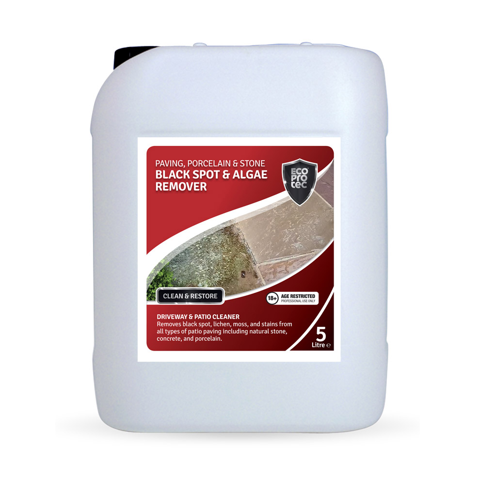Black Spot & Algae Remover Lesta Paving